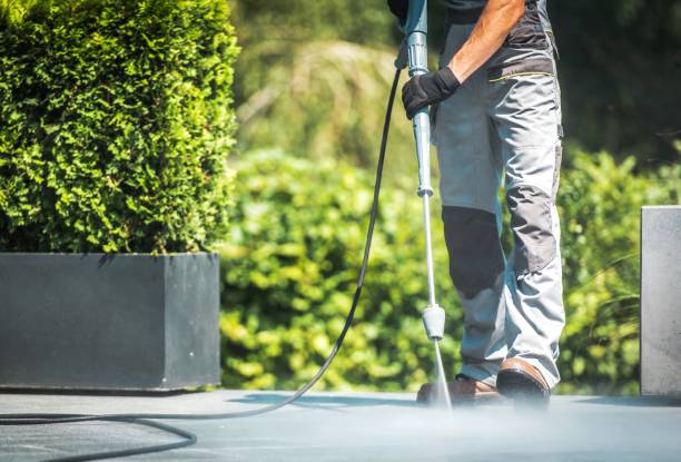 Best Patio and Deck Pressure Washing  in Fallon, NV
