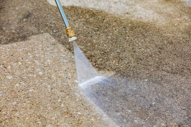 Best Factory Floor Cleaning  in Fallon, NV